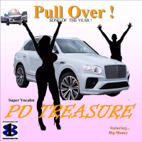 Pull Over ! (Single)
