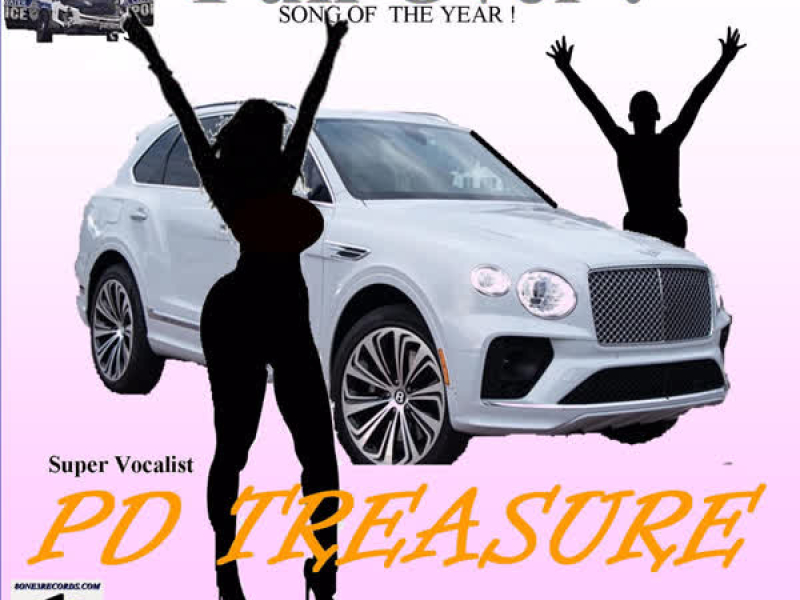 Pull Over ! (Single)