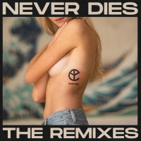 Never Dies (The Remixes) (Single)