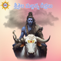 SriSaila Mallanna Deekshalu (Single)