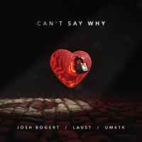 Can't Say Why (Single)