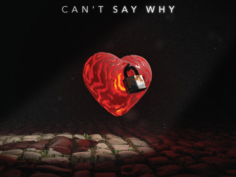 Can't Say Why (Single)