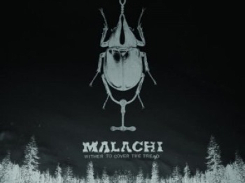 Wither To Cover The Tread