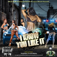 I Know You Like It (feat. D'rok the Menace) [Remix] (Single)