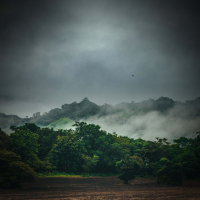 Pleasant Sounds of Rain and Tropical Thunderstorm for Relaxation and Spa (Single)