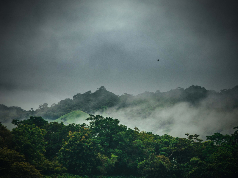 Pleasant Sounds of Rain and Tropical Thunderstorm for Relaxation and Spa (Single)