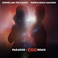 Paradise (R3HAB Remix) (Single)