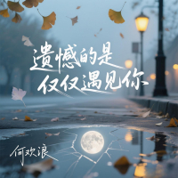遗憾的是仅仅遇见你 (Single)