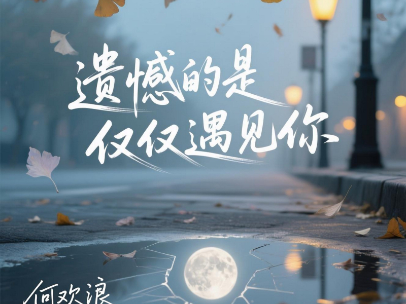 遗憾的是仅仅遇见你 (Single)