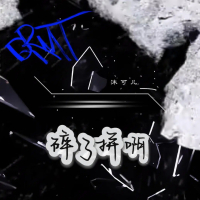 碎了拼啊 (Single)