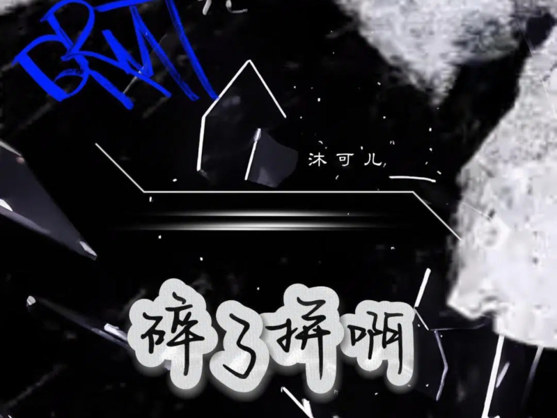 碎了拼啊 (Single)