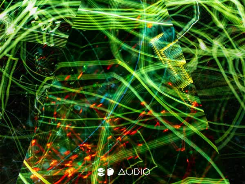 Lights in Motion (Single)