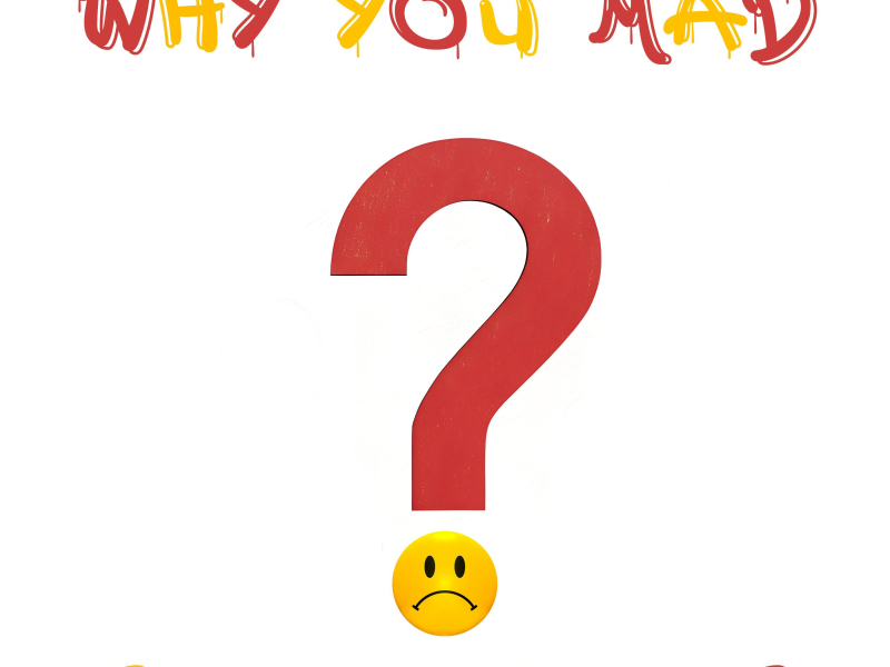 Why You Mad (Single)