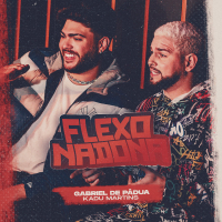 Flexonadona (Single)