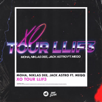 Xo Tour Llif3 (Single)