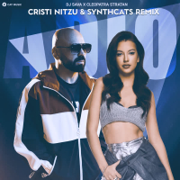 Adio (Cristi Nitzu & Synthcats Remix) (Single)