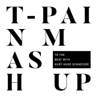 T-Pain Mashup (Single)