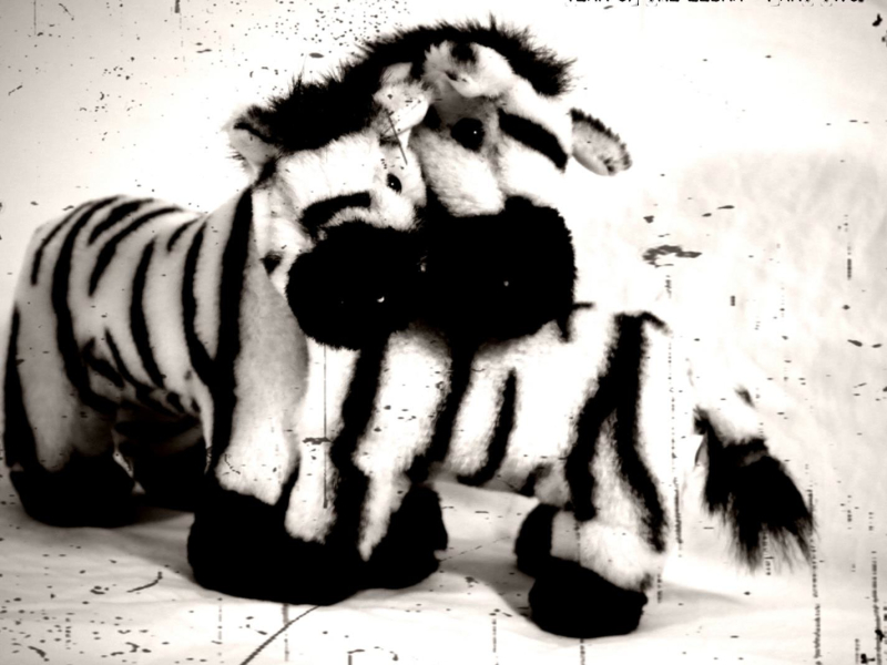 Year Of The Zebra - Part Two (Single)