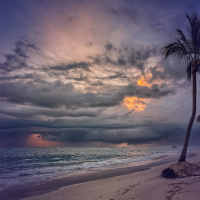 Waves in a Tropical Storm on a Beach (Single)