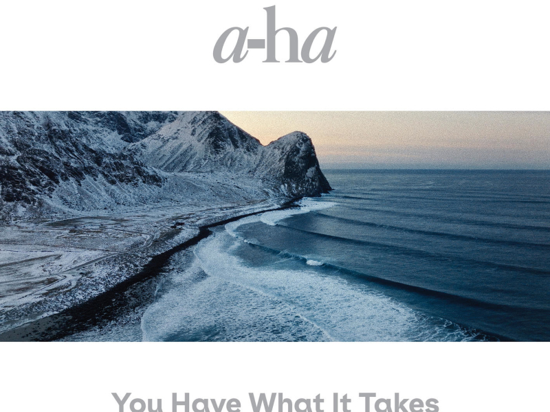 You Have What It Takes (EP)