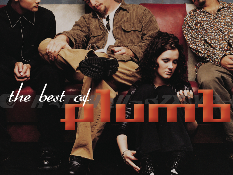 The Best Of Plumb