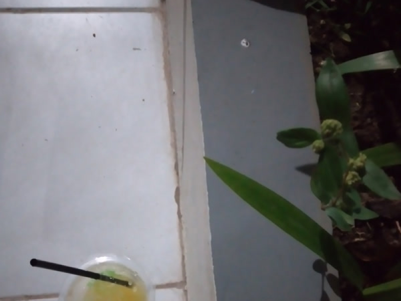 Bertuai tuai (Single)