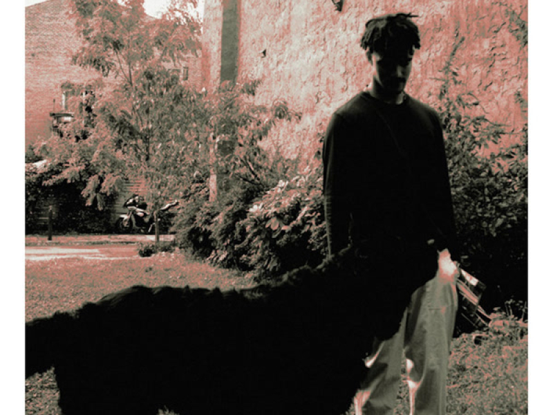 In the morning (Single)