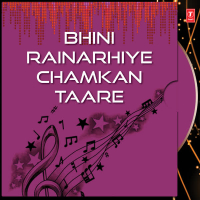 Bhini Rainarhiye Chamkan Taare Vol-29 (Single)