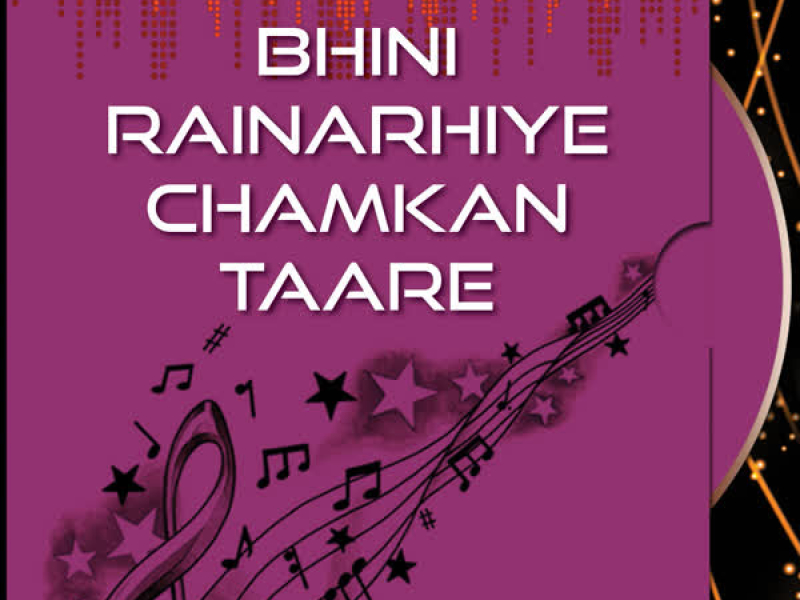 Bhini Rainarhiye Chamkan Taare Vol-29 (Single)