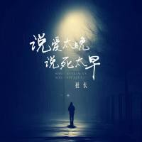 说爱太晚 说死太早 (Single)
