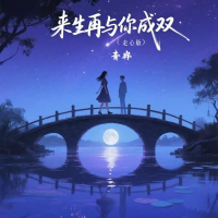来生再与你成双 (走心版) (Single)