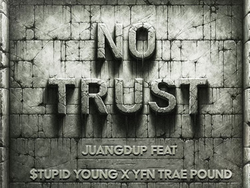 No Trust (feat. $tupid Young & YFN Trae Pound) (Single)