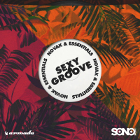 Sexy Groove (Single)