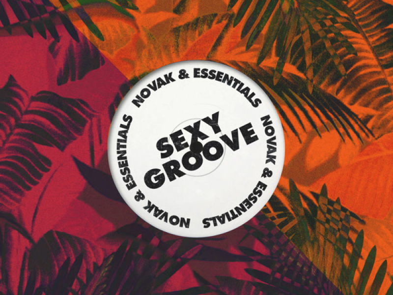 Sexy Groove (Single)