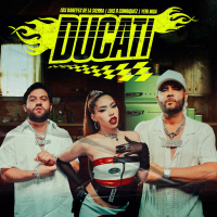 Ducati (Single)