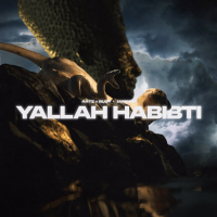 Yallah Habibti (Single)