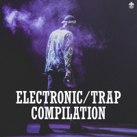 Electronic/Trap Compilation (Single)