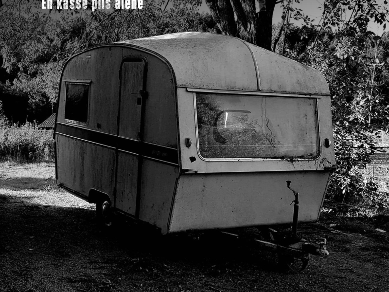 En kasse pils alene (Single)