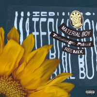 Material Boy (Teenage Priest Remix) (Single)