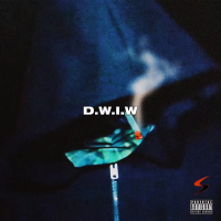 D.W.I.W. (Single)