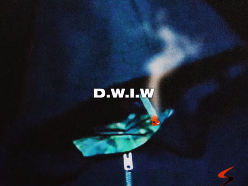 D.W.I.W. (Single)