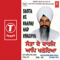Santa Ke Kaaraj Aap Khaloya Vol-45