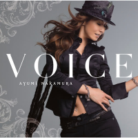 VOICE