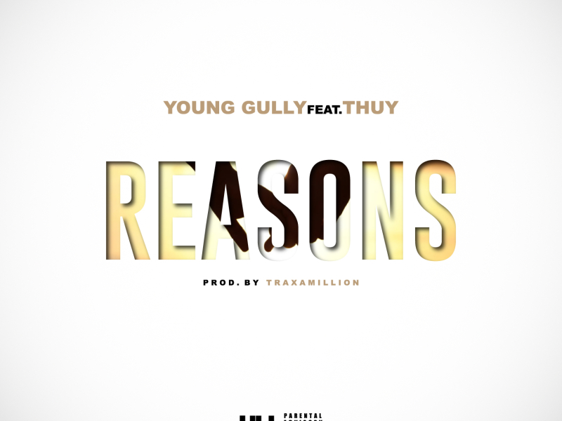 Reasons (feat. Thuy)