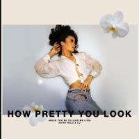 How Pretty You Look (When You're Telling Me Lies) (Single)