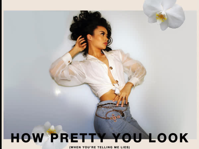 How Pretty You Look (When You're Telling Me Lies) (Single)