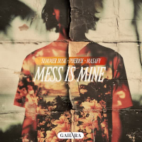 Mess Is Mine (Single)