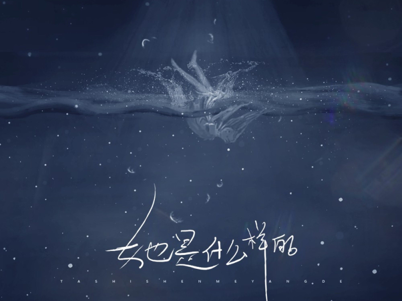 她是什么样的 (Single)