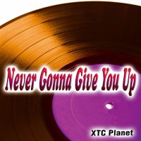 Never Gonna Give You Up - Single