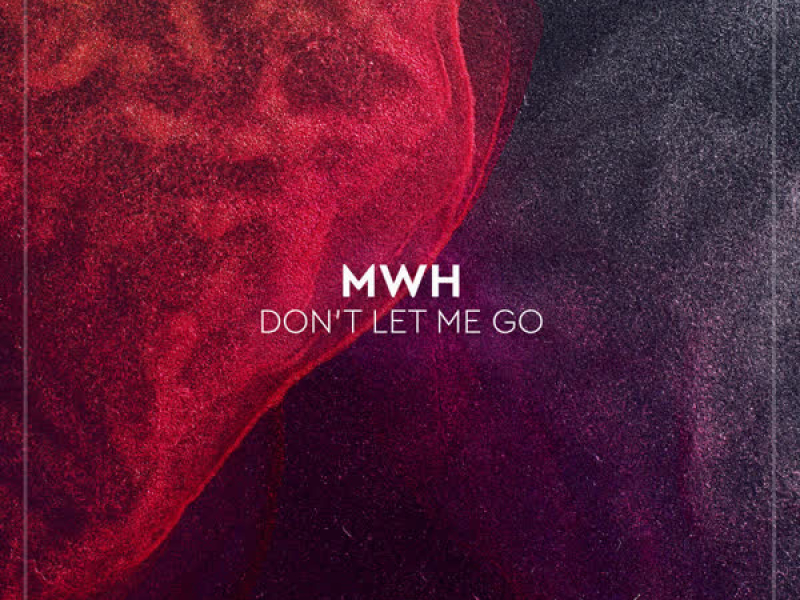 Don't Let Me Go (Single)